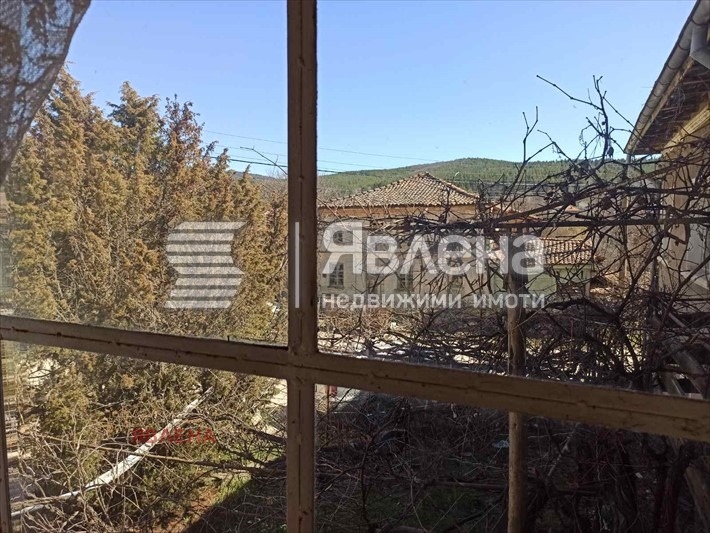 ������� ���� | Imot.bg � ����������� 17