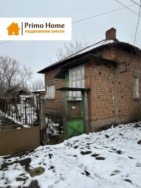 ������ ������� ����