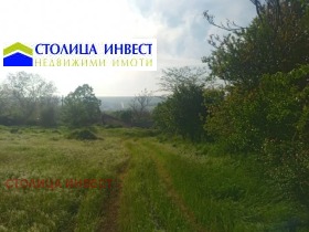 Плот Червена вода, регион Русе 3