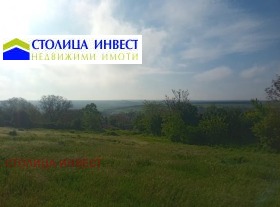 Плот Червена вода, регион Русе 4