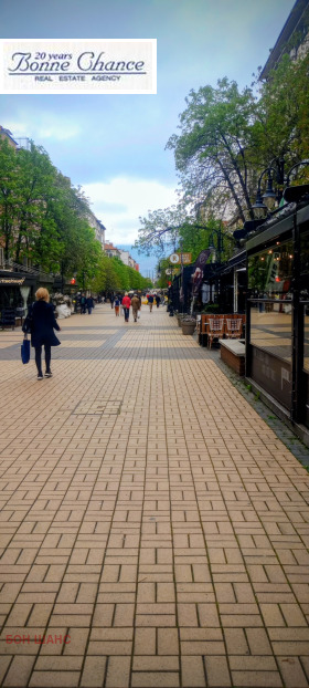 ������ ������� ����