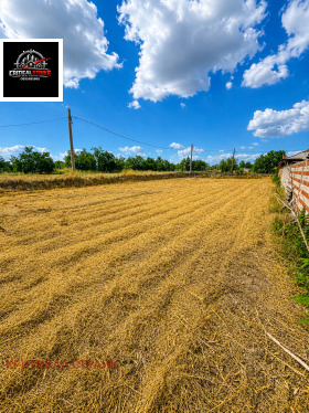 ������� ������ | Imot.bg � ����� ������ 5