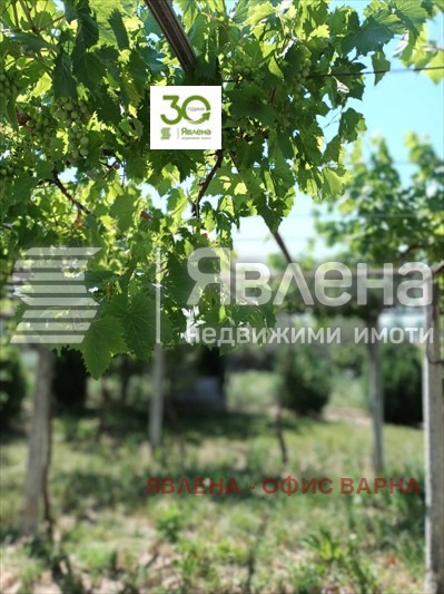 Продава КЪЩА, с. Ветрино, област Варна, снимка 6 - Къщи - 53714346