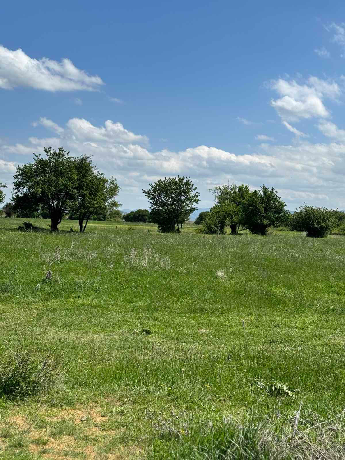 Продава ПАРЦЕЛ, с. Григорево, област София област, снимка 2 - Парцели - 53653263