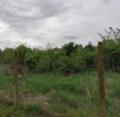Продава ПАРЦЕЛ, с. Пчелище, област Велико Търново, снимка 1