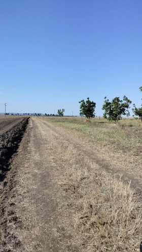 Land Bjal kladenets, region Sliven 3