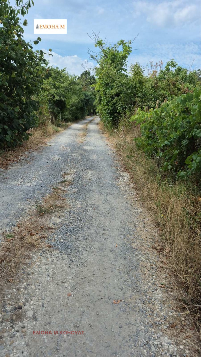 Eladó  Cselekmény régió Várna , Osenovo , 328 négyzetméter | 97795361