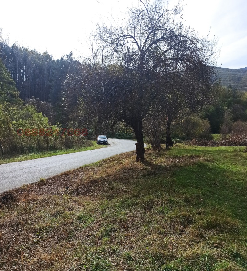 Продава ПАРЦЕЛ, гр. Берковица, област Монтана, снимка 6 - Парцели - 52783134