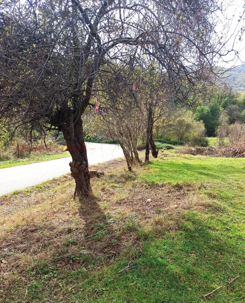 Продава ПАРЦЕЛ, гр. Берковица, област Монтана, снимка 5 - Парцели - 52783134