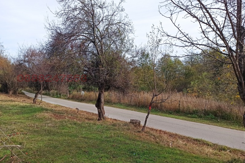 Продава ПАРЦЕЛ, гр. Берковица, област Монтана, снимка 7 - Парцели - 52783134