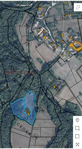 ����� ������� ����,�. �����������, ������ ������ �������