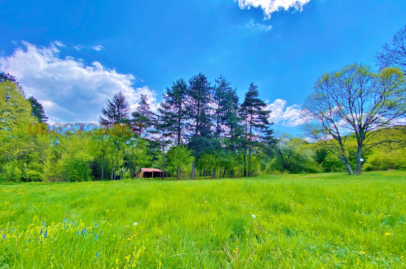In vendita  Complotto Sofia , Gorna bania , 1000 mq | 87251743 - Immagine [12]