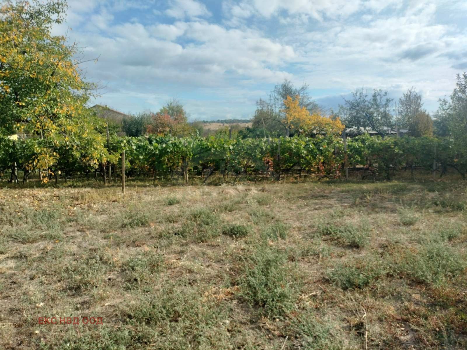 ������� ���� | Imot.bg � ����������� 4