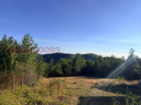 ������� ���� | Imot.bg � ����� ������ 15