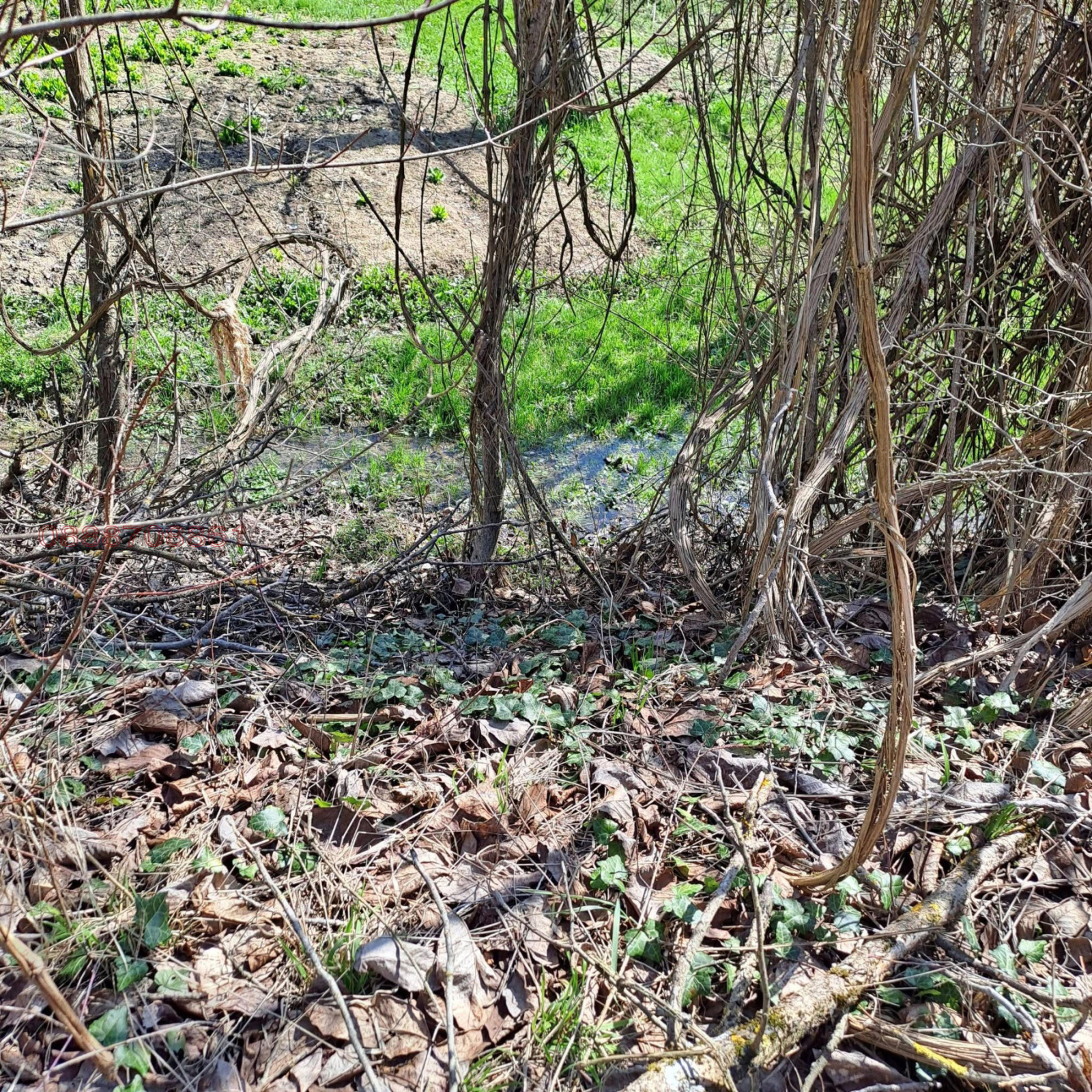 Продава ПАРЦЕЛ, с. Голям извор, област Ловеч, снимка 5 - Парцели - 54235871