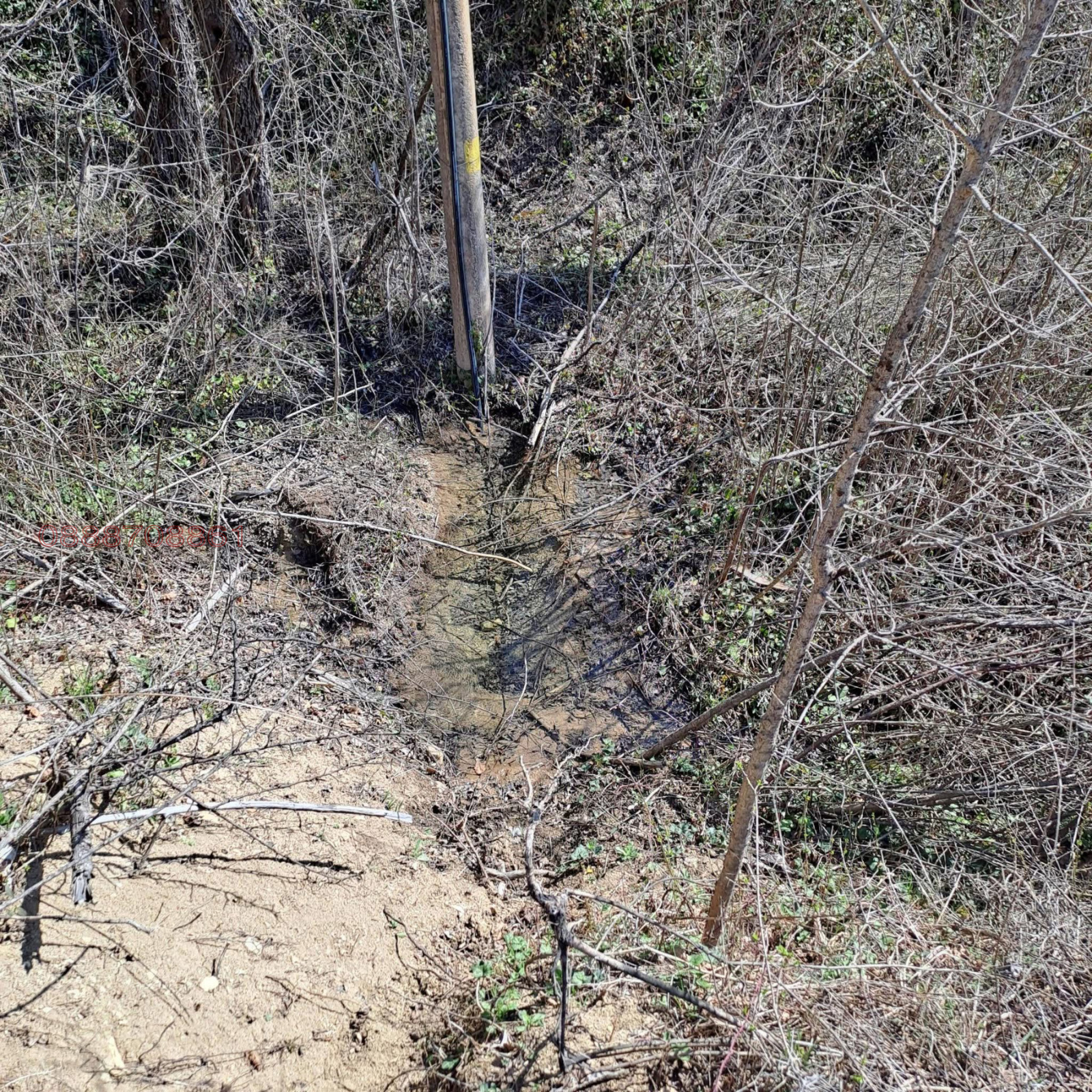 Продава ПАРЦЕЛ, с. Голям извор, област Ловеч, снимка 8 - Парцели - 54235871