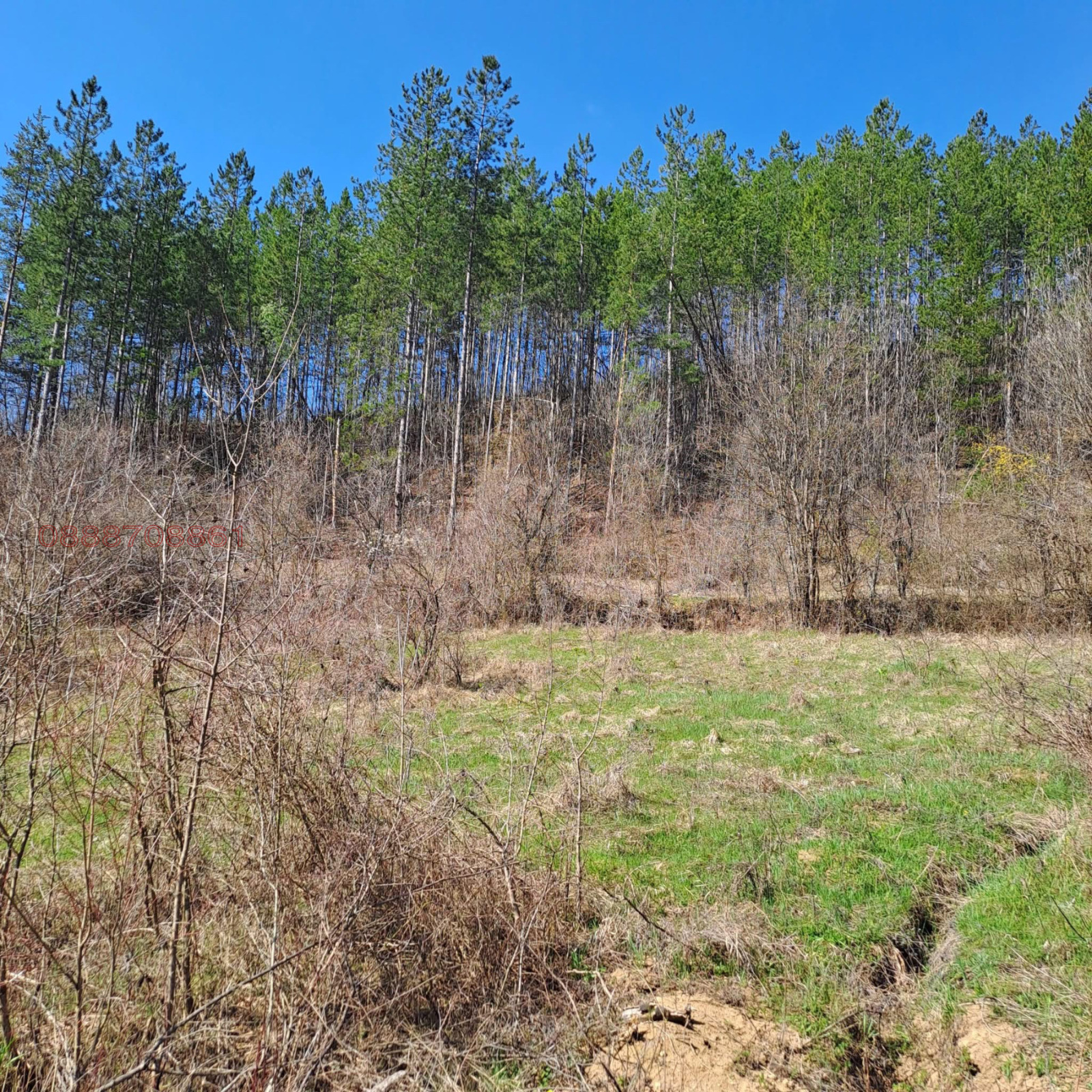 Продава ПАРЦЕЛ, с. Голям извор, област Ловеч, снимка 7 - Парцели - 54235871