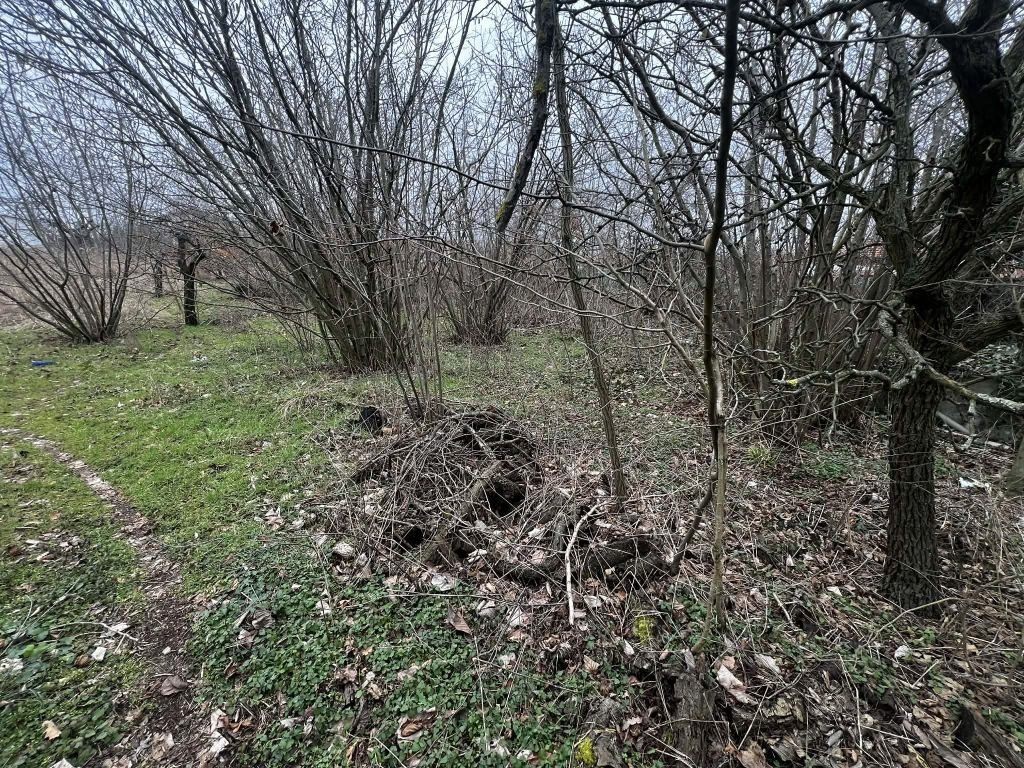 Продава ПАРЦЕЛ, гр. Варна, м-т Боровец - север, снимка 5 - Парцели - 54273129