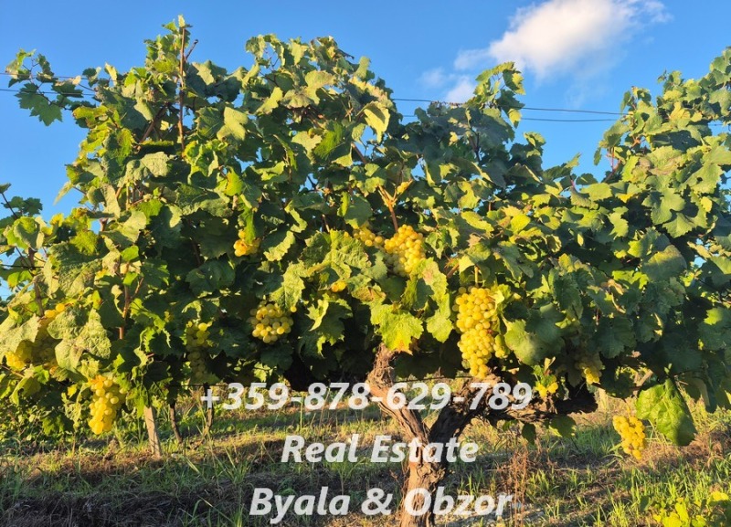 Продава 3-СТАЕН, гр. Бяла, област Варна, снимка 11 - Апартаменти - 52634633