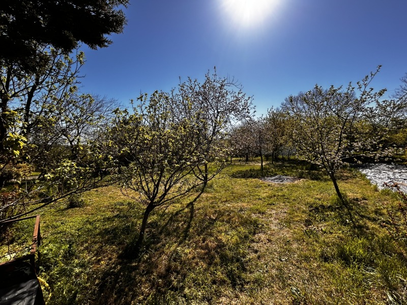 Til salg  Hus region Varna , Klimentovo , 63 kvm | 32964427 - billede [6]
