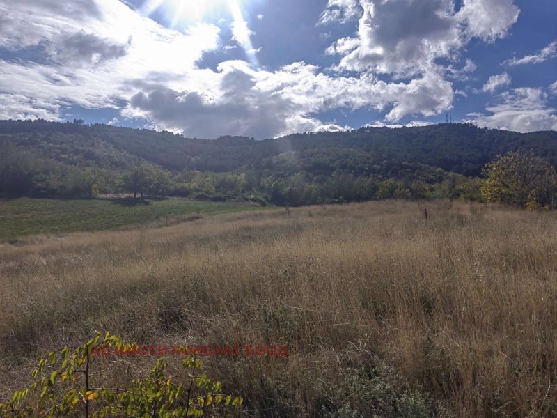 For Sale  Plot region Kyustendil , Boboshevo , 790 sq.m | 12536631 - image [10]