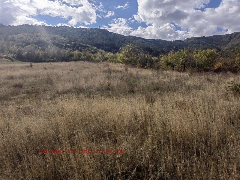 For Sale  Plot region Kyustendil , Boboshevo , 790 sq.m | 12536631 - image [6]