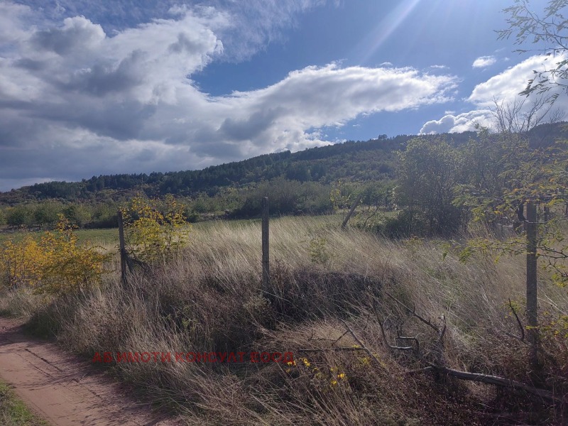 For Sale  Plot region Kyustendil , Boboshevo , 790 sq.m | 12536631 - image [9]