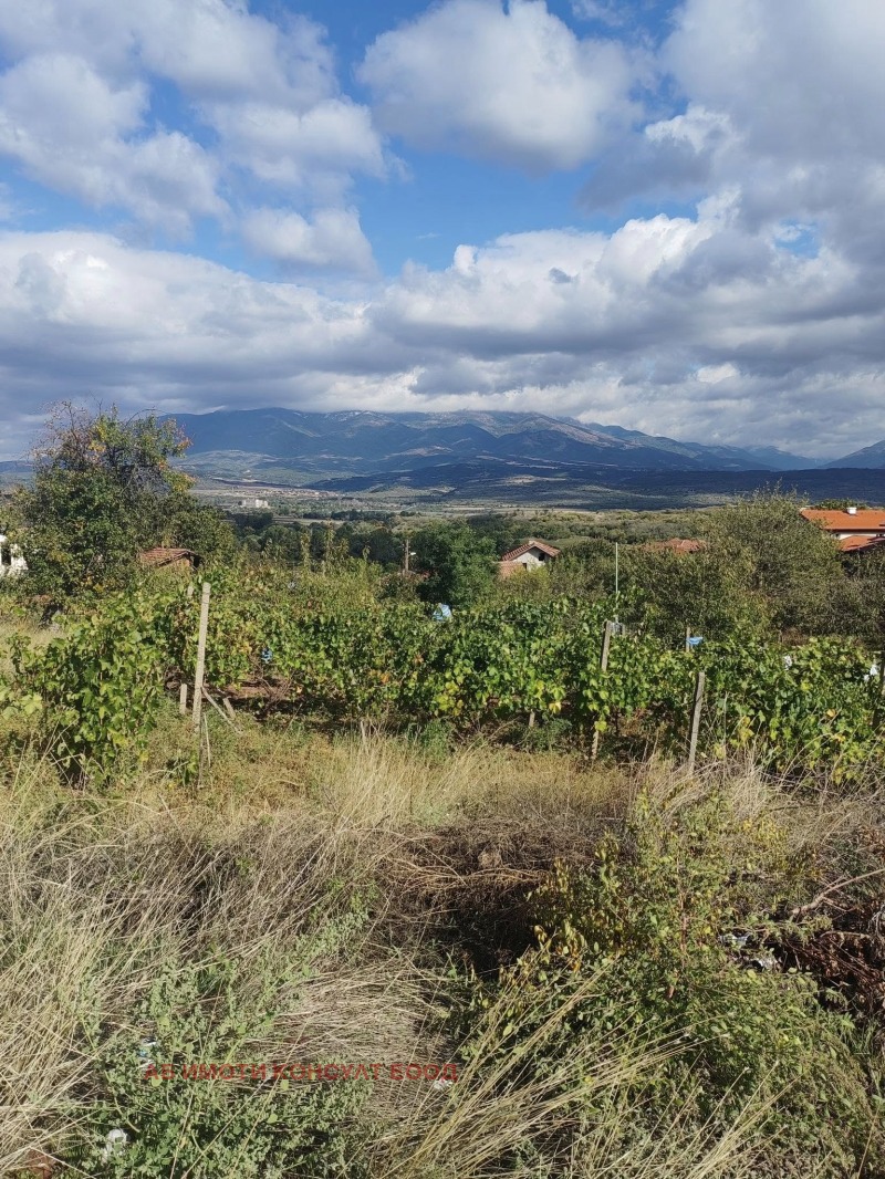 For Sale  Plot region Kyustendil , Boboshevo , 790 sq.m | 12536631 - image [3]
