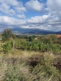 Продава ПАРЦЕЛ, гр. Бобошево, област Кюстендил, снимка 2