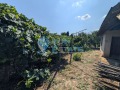 Продава ПАРЦЕЛ, с. Кесарево, област Велико Търново, снимка 5