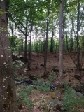 Продава ЗЕМЕДЕЛСКА ЗЕМЯ, с. Бързия, област Монтана, снимка 1