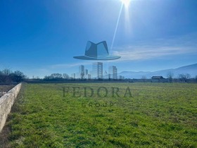 ����� ������� ������,���� �������, ������������ ���� - ��