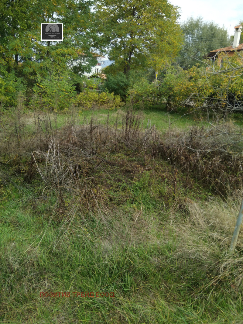 Продава КЪЩА, с. Багренци, област Кюстендил, снимка 6 - Къщи - 52092271