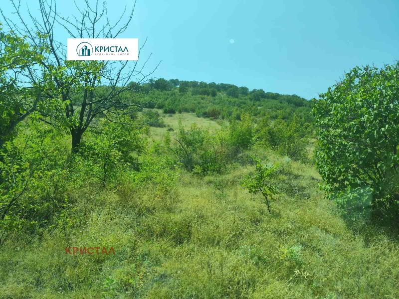 Продава  Парцел област Пловдив , с. Брестник , 585 кв.м | 13376351 - изображение [3]
