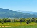 Продава  Парцел област София , с. Рельово , 1317 кв.м | 23749304 - изображение [2]
