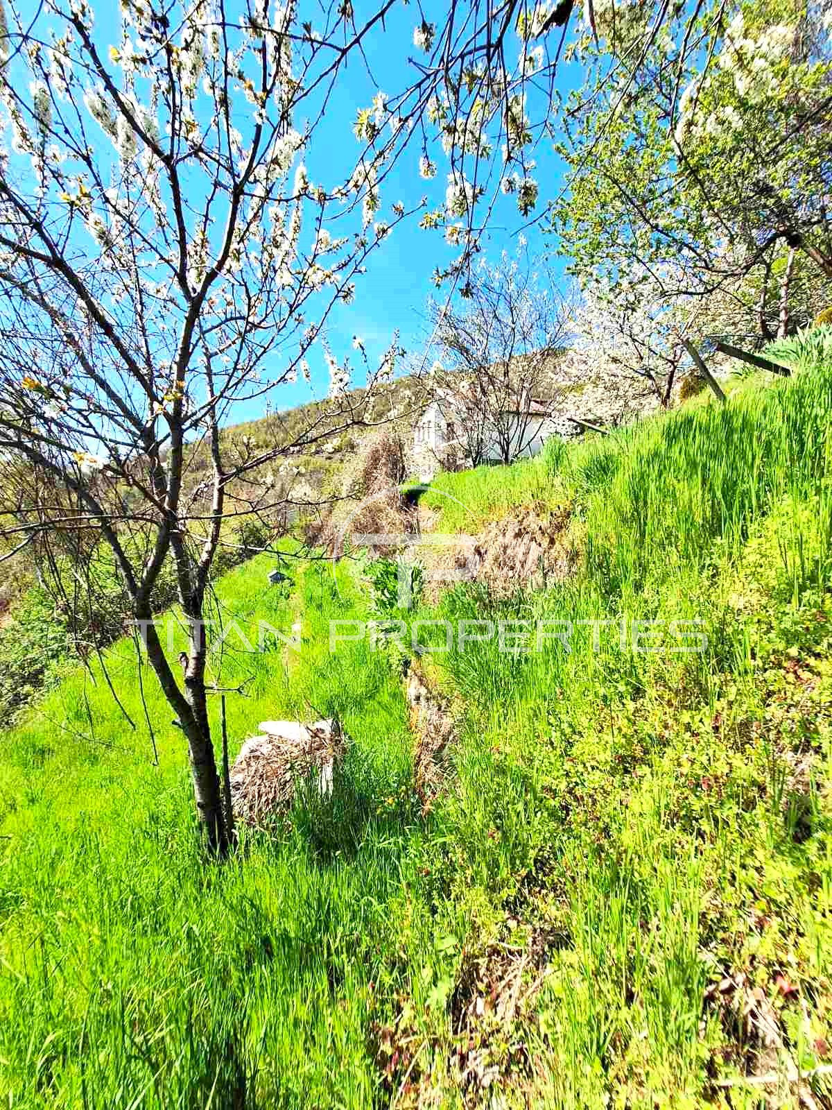 ������� ������ | Imot.bg � ����������� 11