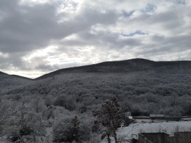 Hus Starozagorski bani, region Stara Zagora 6