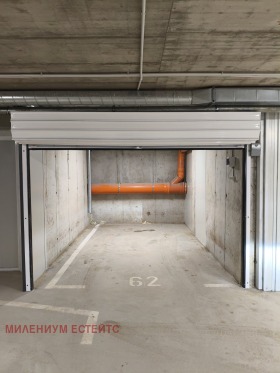 ����� ������� �����,���� �����, �������� ������