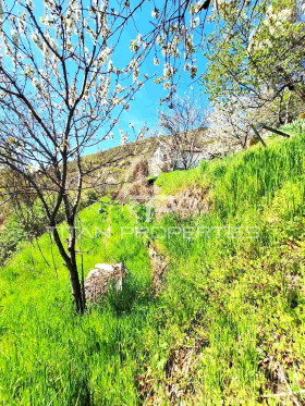 ������� ������ | Imot.bg � ����� ������ 11