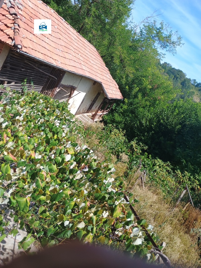 Продава КЪЩА, с. Николаево, област Плевен, снимка 8 - Къщи - 52616551