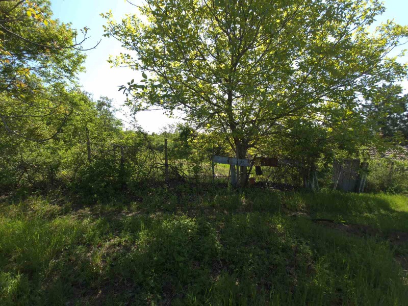 Till salu  Komplott Pleven , Kailaka , 480 kvm | 29830206 - bild [12]