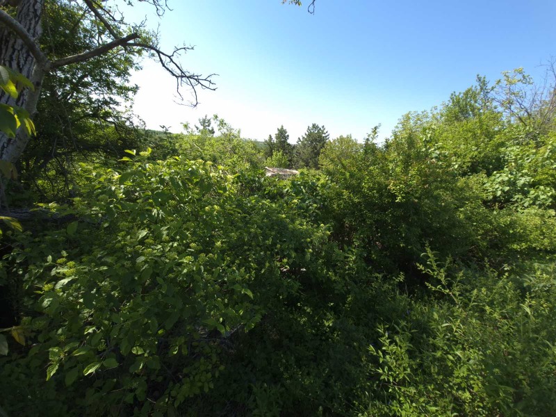 Till salu  Komplott Pleven , Kailaka , 480 kvm | 29830206