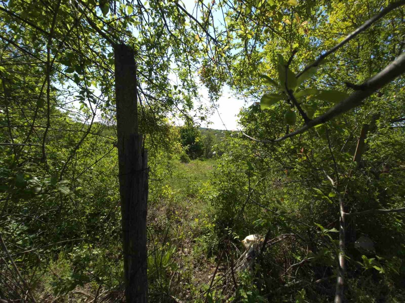 Till salu  Komplott Pleven , Kailaka , 480 kvm | 29830206 - bild [11]