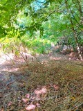 Продава КЪЩА, област Велико Търново, с. Морава • 4800 € / 9387.98 лв. • 16311689 12