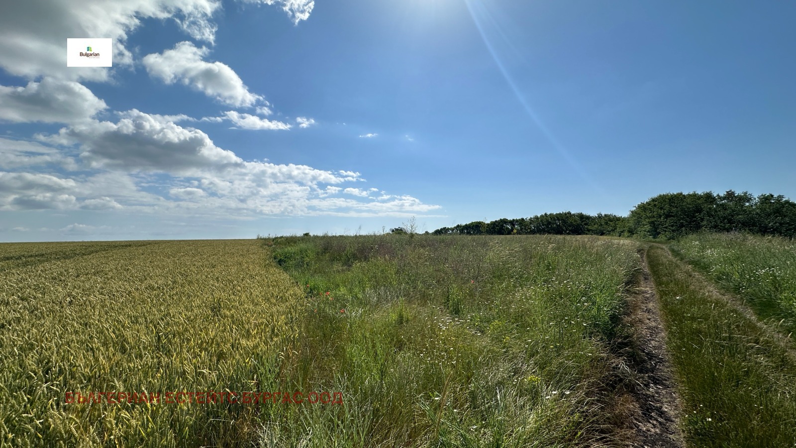 Продава ПАРЦЕЛ | Imot.bg — изображение 4