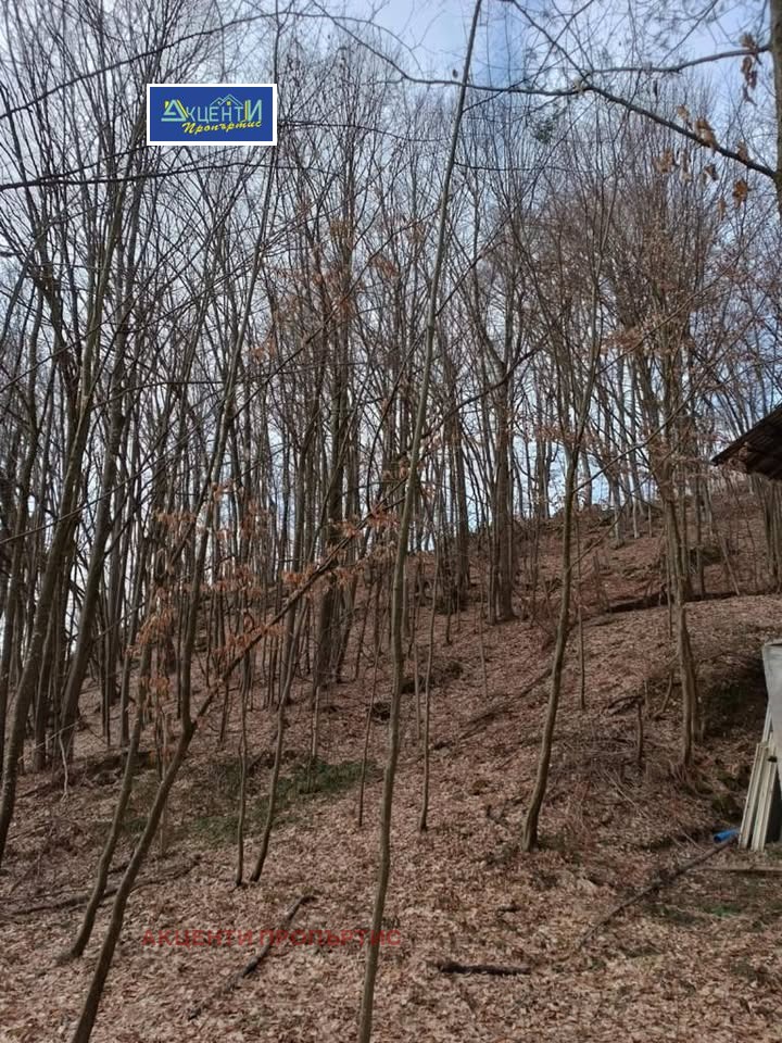 Til salg  Hus region Veliko Tarnovo , Voneshta voda , 70 kvm | 61588604 - billede [3]