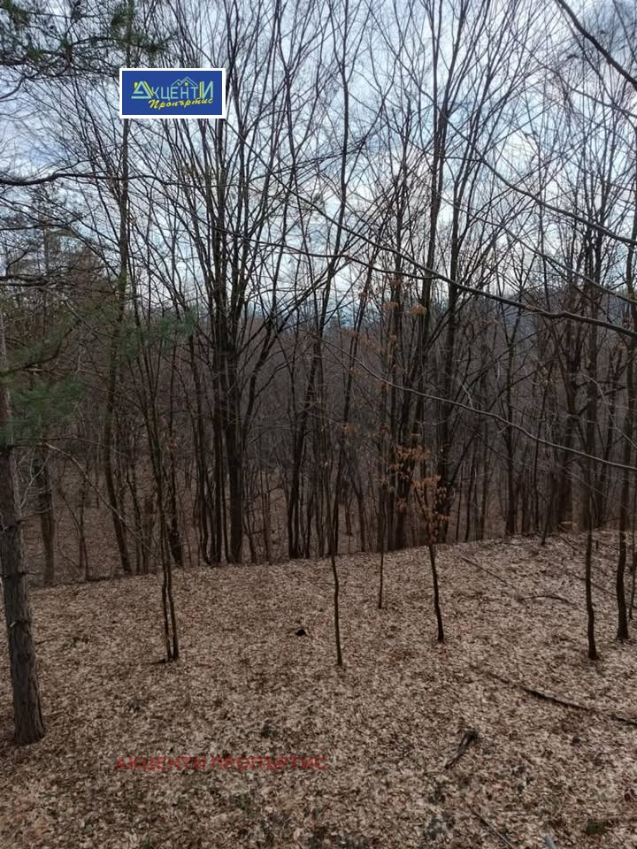 Til salg  Hus region Veliko Tarnovo , Voneshta voda , 70 kvm | 61588604 - billede [5]