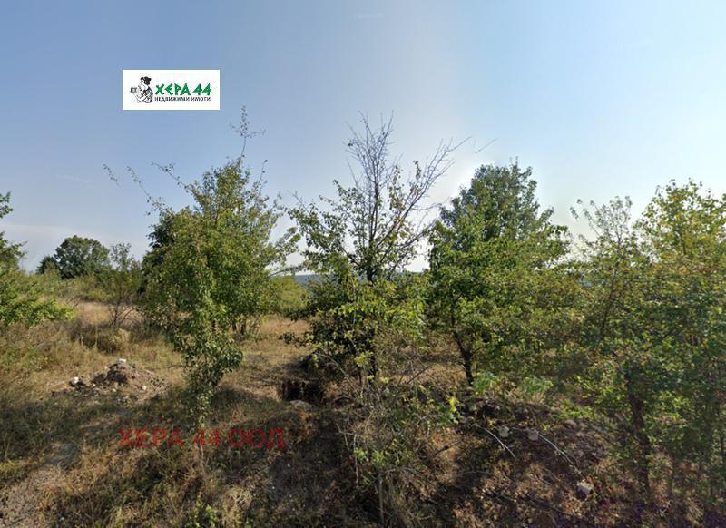 Na sprzedaż  Działka region Warny , Dabrawino , 700 mkw | 22988383 - obraz [2]