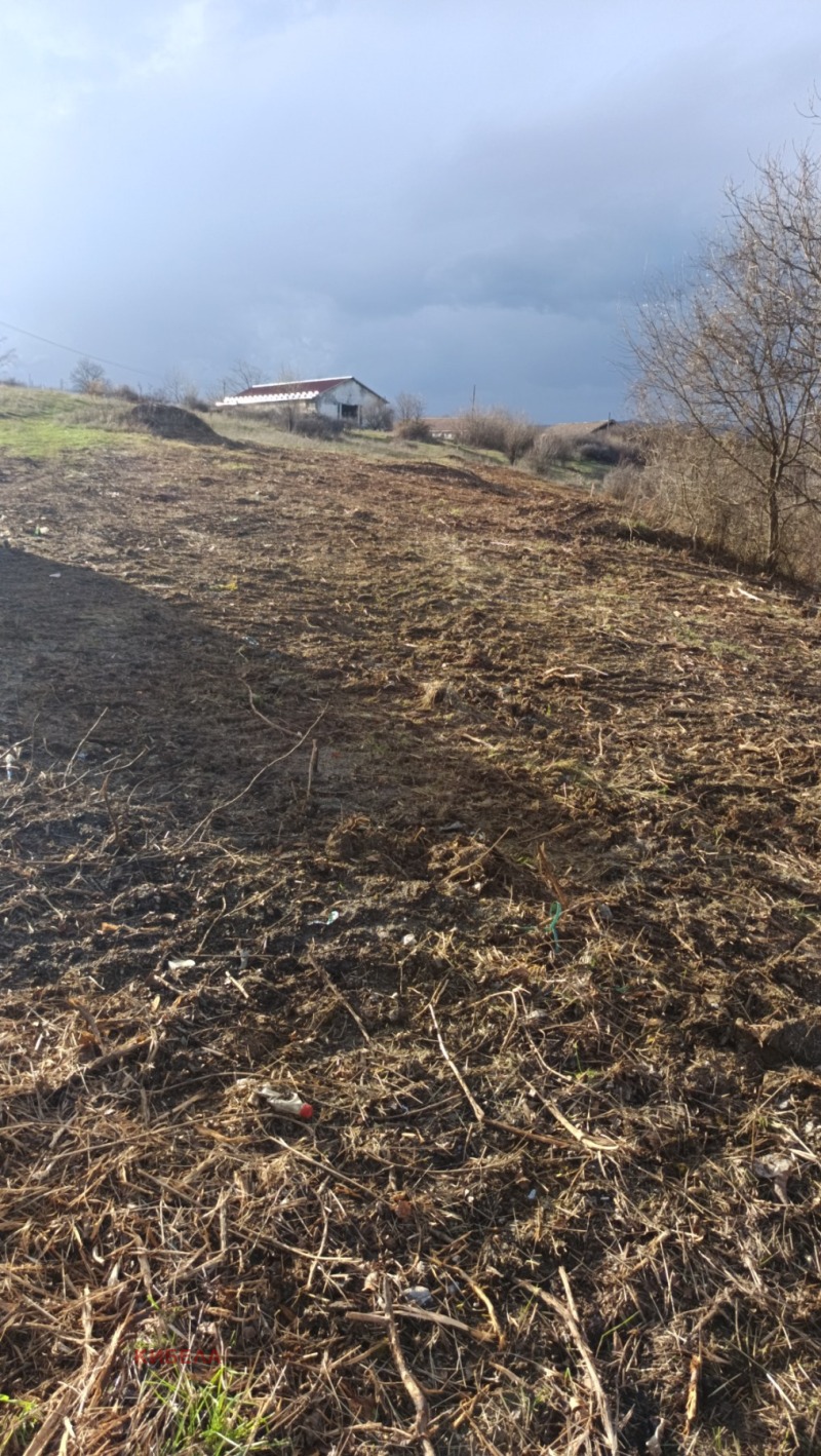 Продава ЗЕМЕДЕЛСКА ЗЕМЯ, гр. Перник, област Перник, снимка 5 - Земеделска земя - 52477097