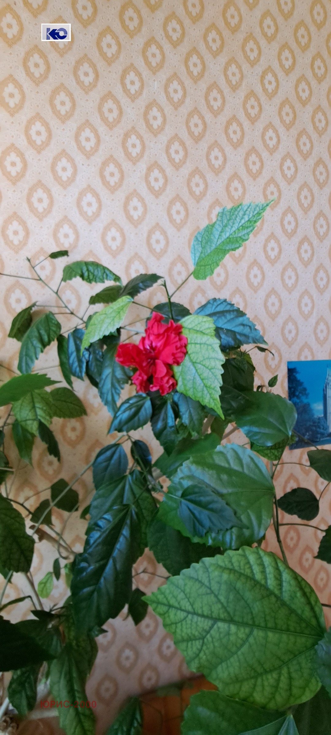 ������� 2-����� | Imot.bg � ����������� 10